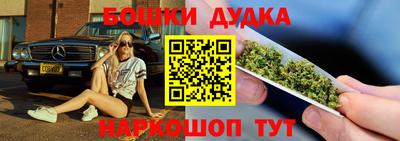 крисы Севастополь
