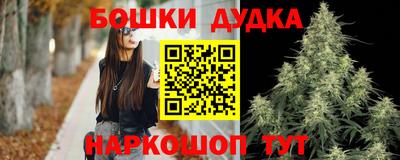 крисы Севастополь