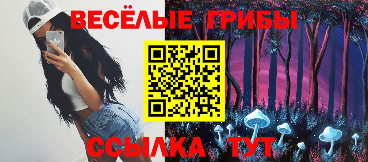 Псилоцибиновые грибы Cubensis  Галлюциногенные грибы Cubensis  Баксан  Вход с VPN 