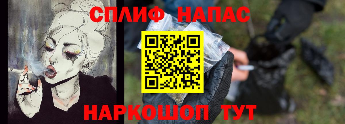 Каннабис сатива Баксан